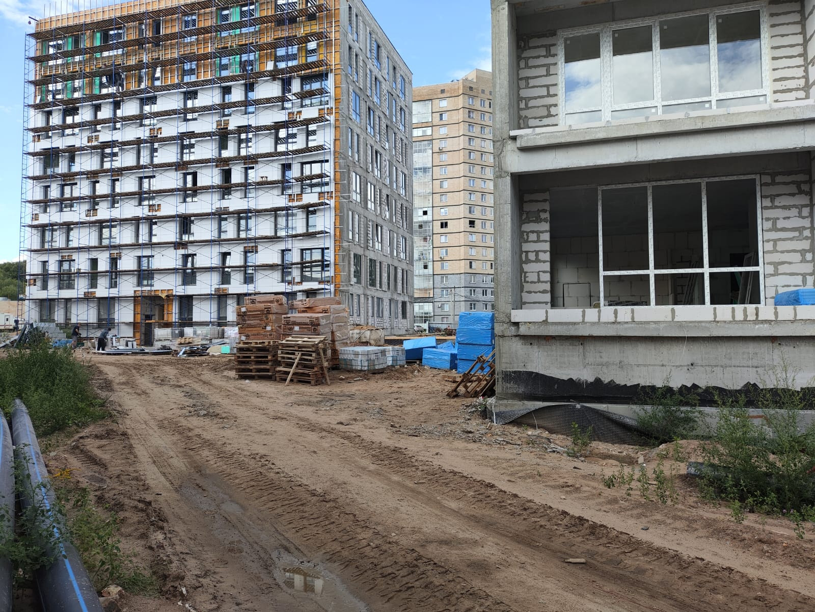 5 августа 2024 года