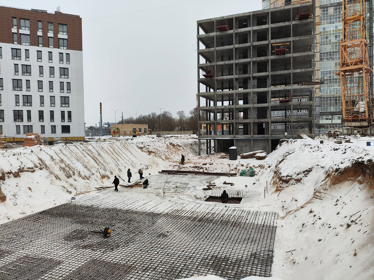 23 января 2025 года