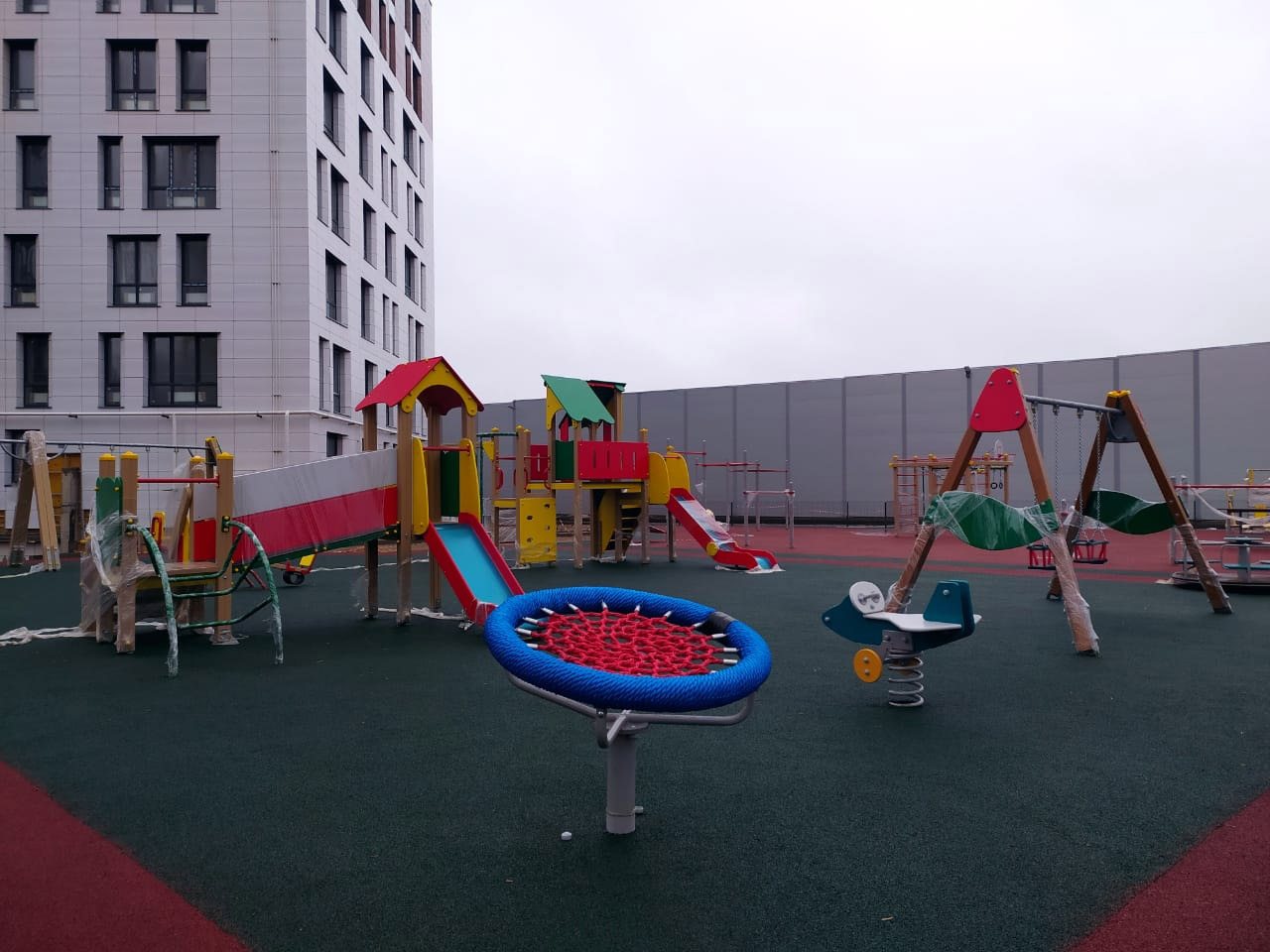 29 января 2025 года