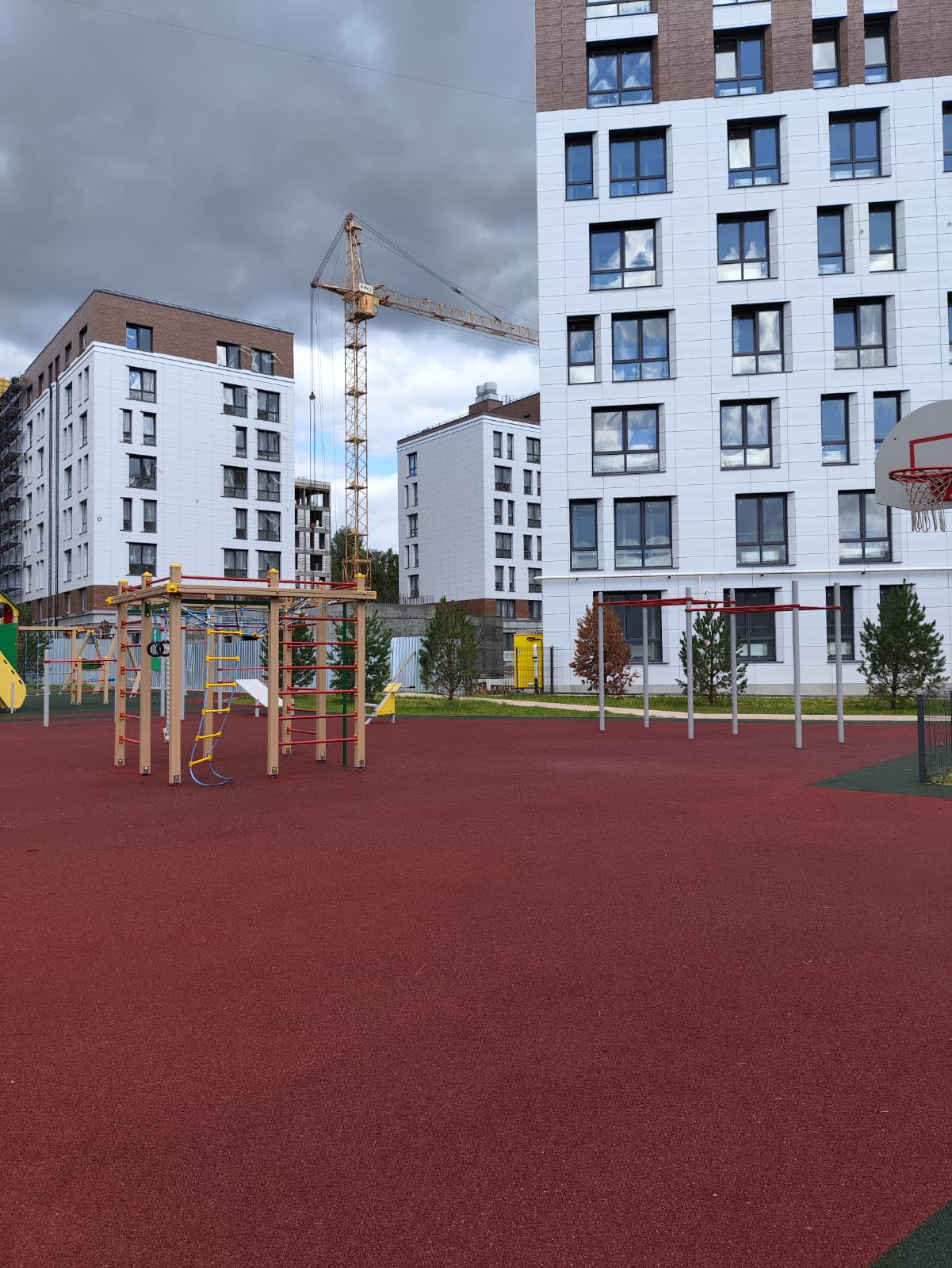 13 августа 2026 года